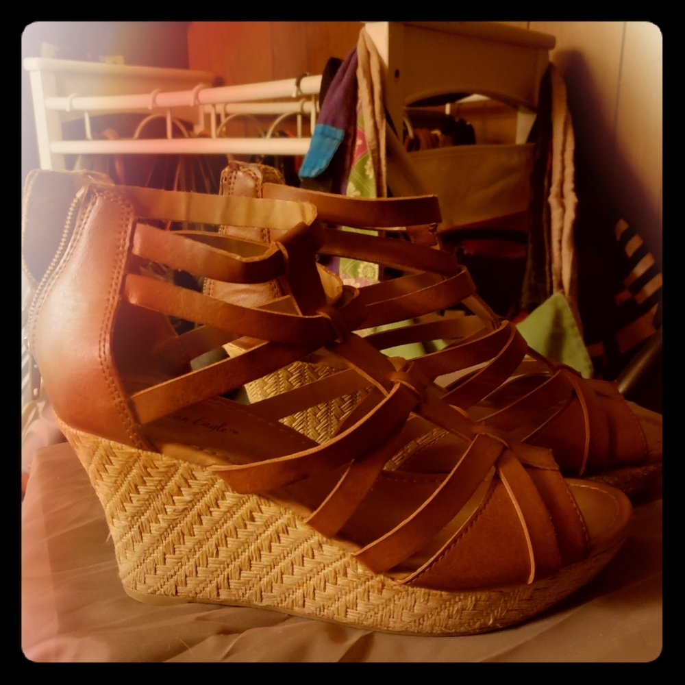 American Eagle Wedges